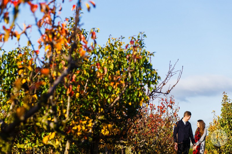 Kent Engagement Shoot in Canterbury with the lovely Mike and Tammy 